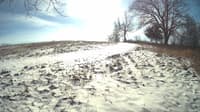 The field cam, Jan 15, 2024 at 10:24am