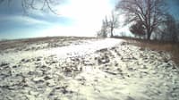 The field cam, Jan 15, 2024 at 10:26am