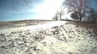The field cam, Jan 15, 2024 at 10:45am