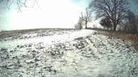 The field cam, Jan 16, 2024 at 9:21am