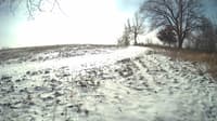 The field cam, Jan 16, 2024 at 9:23am