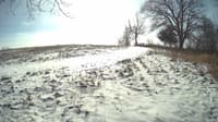 The field cam, Jan 16, 2024 at 10:01am