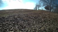 The field cam, Jan 31, 2024 at 8:57am
