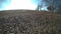 The field cam, Jan 31, 2024 at 8:59am