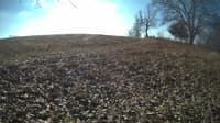 The field cam, Jan 31, 2024 at 9:05am