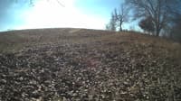 The field cam, Jan 31, 2024 at 9:09am