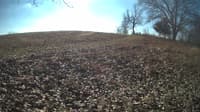 The field cam, Jan 31, 2024 at 9:26am