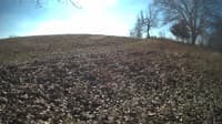 The field cam, Jan 31, 2024 at 9:31am