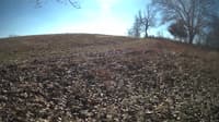 The field cam, Jan 31, 2024 at 10:01am