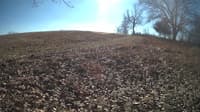 The field cam, Jan 31, 2024 at 10:20am