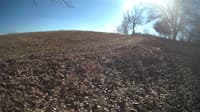 The field cam, Jan 31, 2024 at 11:22am