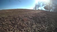 The field cam, Jan 31, 2024 at 11:24am