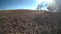 The field cam, Jan 31, 2024 at 11:26am