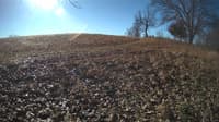 The field cam, Feb 1, 2024 at 8:14am