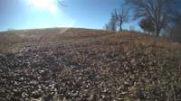 The field cam, Feb 1, 2024 at 8:25am
