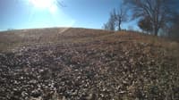 The field cam, Feb 1, 2024 at 8:26am