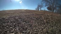 The field cam, Feb 1, 2024 at 8:49am