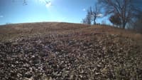 The field cam, Feb 1, 2024 at 8:50am