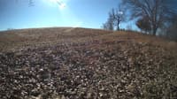The field cam, Feb 1, 2024 at 8:55am