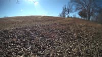 The field cam, Feb 1, 2024 at 8:57am