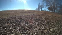 The field cam, Feb 1, 2024 at 9:19am