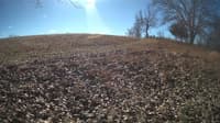 The field cam, Feb 1, 2024 at 9:23am