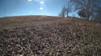 The field cam, Feb 1, 2024 at 9:28am