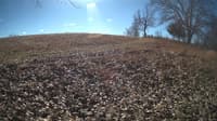 The field cam, Feb 1, 2024 at 9:29am