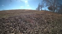 The field cam, Feb 1, 2024 at 9:30am