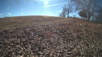 The field cam, Feb 1, 2024 at 9:45am