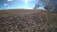 The field cam, Feb 1, 2024 at 9:49am