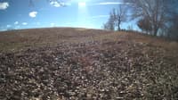 The field cam, Feb 1, 2024 at 9:51am