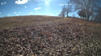The field cam, Feb 1, 2024 at 9:54am