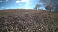 The field cam, Feb 1, 2024 at 9:55am