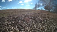 The field cam, Feb 1, 2024 at 9:56am