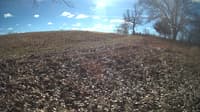 The field cam, Feb 1, 2024 at 10:14am