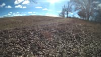 The field cam, Feb 1, 2024 at 10:21am