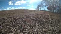 The field cam, Feb 1, 2024 at 10:23am