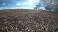 The field cam, Feb 1, 2024 at 10:25am
