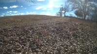 The field cam, Feb 1, 2024 at 10:26am