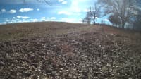 The field cam, Feb 1, 2024 at 10:27am