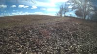 The field cam, Feb 1, 2024 at 10:35am