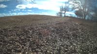 The field cam, Feb 1, 2024 at 10:43am