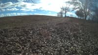 The field cam, Feb 1, 2024 at 10:48am