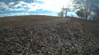 The field cam, Feb 1, 2024 at 10:50am