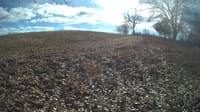 The field cam, Feb 1, 2024 at 10:54am