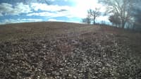 The field cam, Feb 1, 2024 at 10:57am