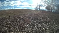 The field cam, Feb 1, 2024 at 10:57am