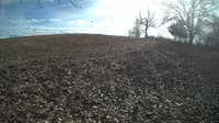 The field cam, Feb 1, 2024 at 11:26am