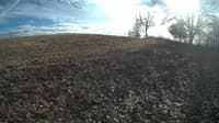 The field cam, Feb 1, 2024 at 12:02pm